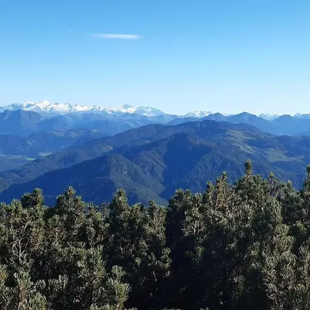 Apartment Am Wald Waidring