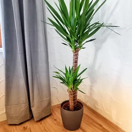 Am Wald Apartment