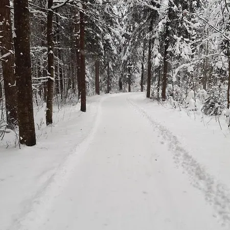 Am Wald Apartment *