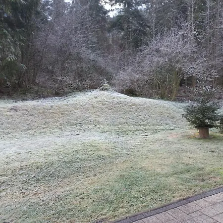 Am Wald Waidring