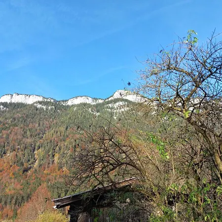Am Wald * Waidring